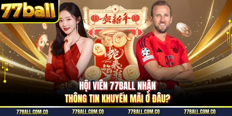 Hội viên 77ball nhận thông tin khuyến mãi ở đâu?